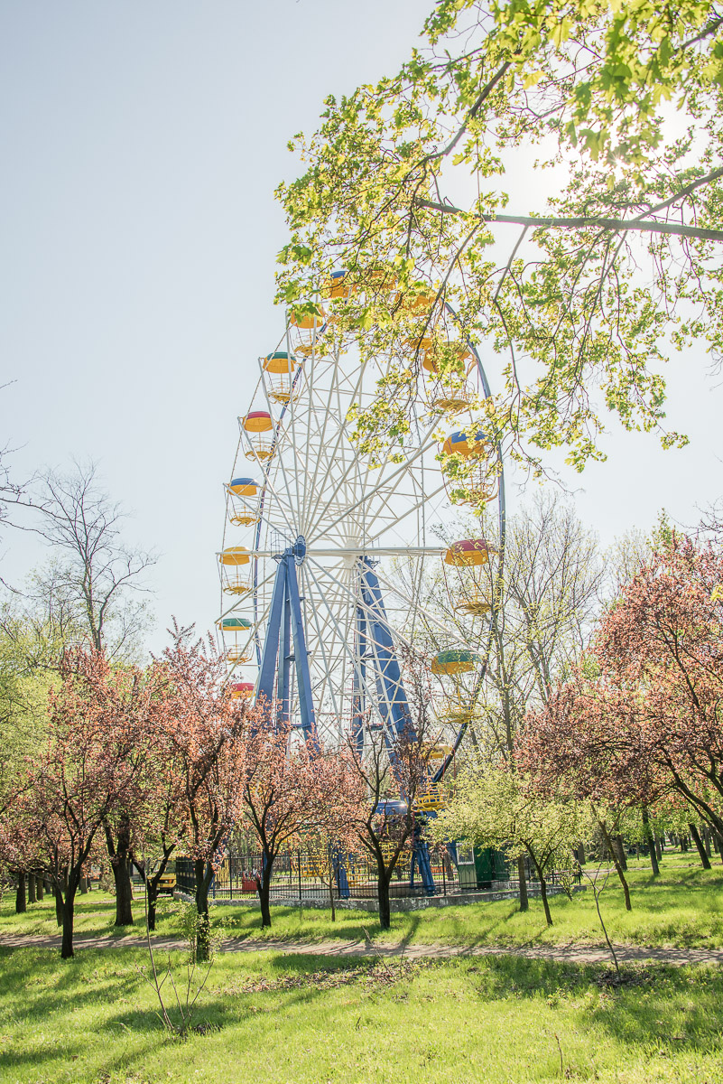 Stephan-Redel-0351-824-0673