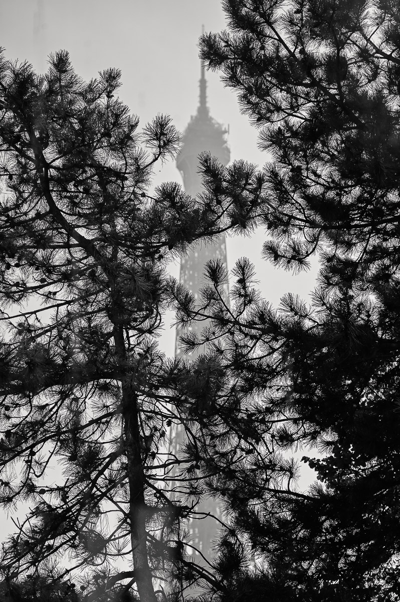 Stephan-Redel-0360-1029-2542