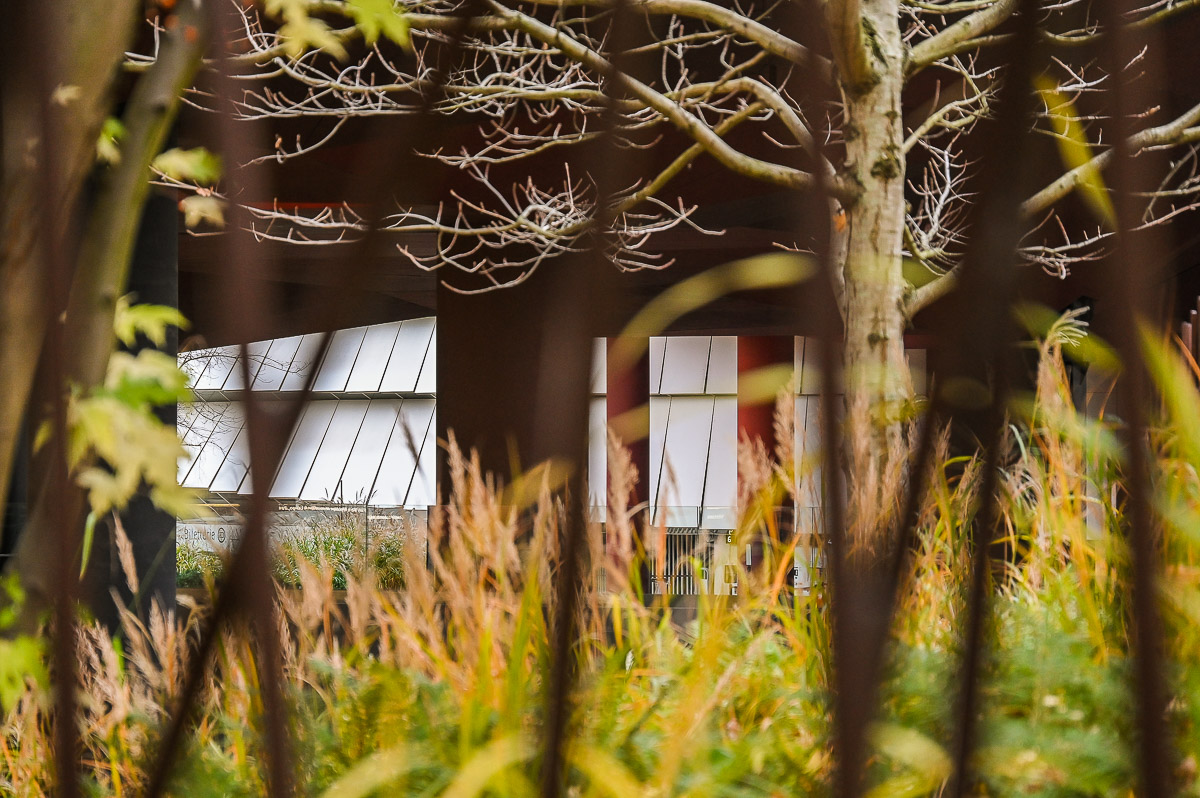 Stephan-Redel-0371-989-1051