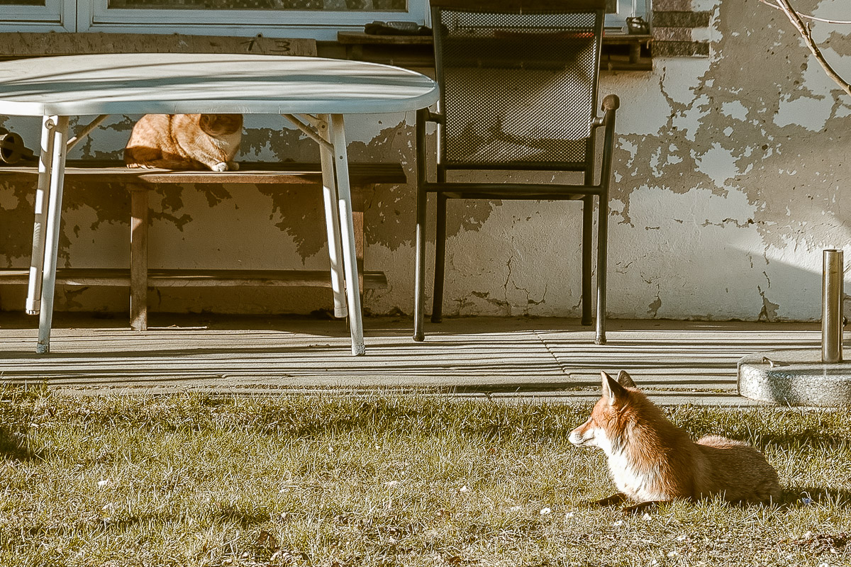 Stephan-Redel-0381-999-09244