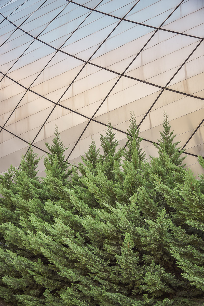 Stephan-Redel-0398-1025-0661