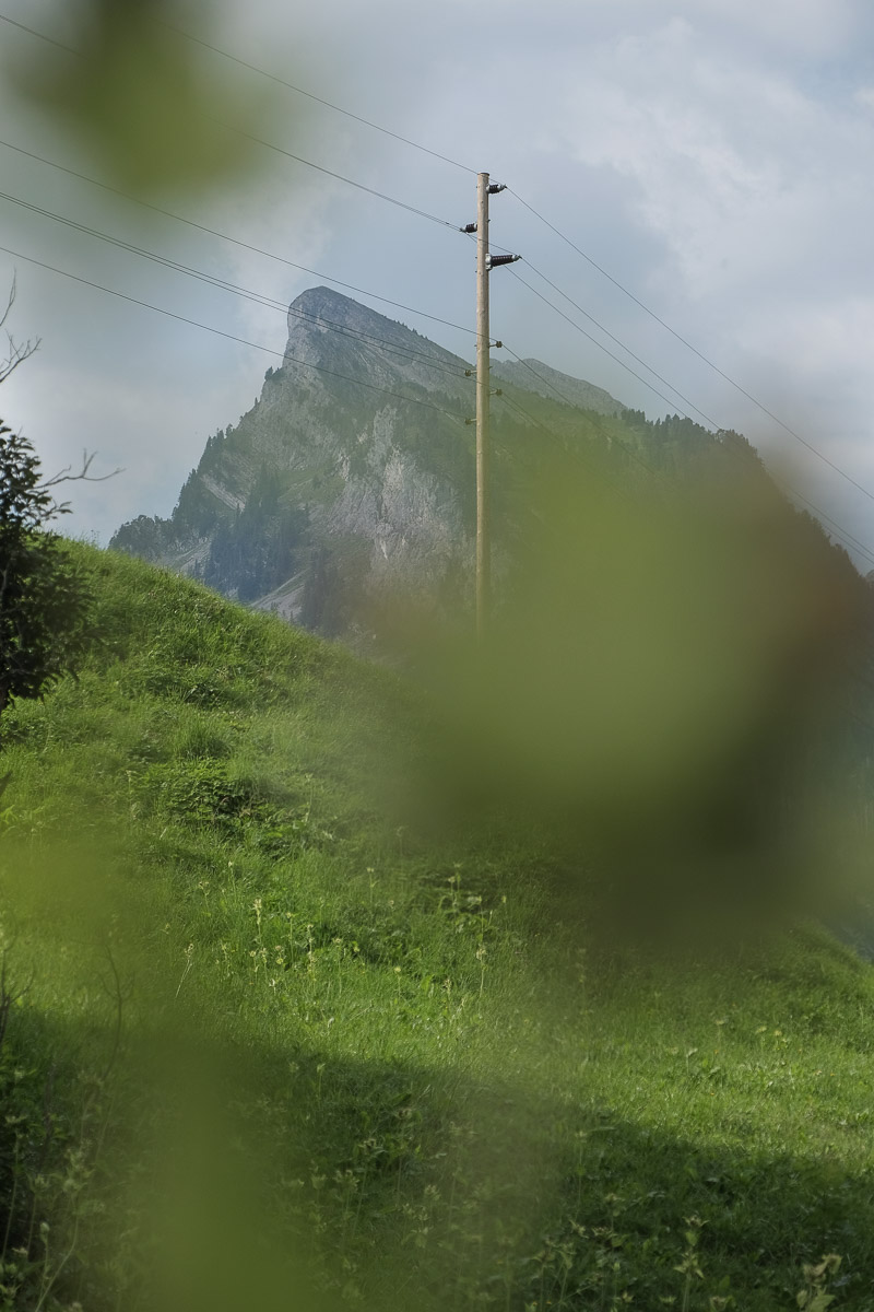 Stephan-Redel-0402-879-0085