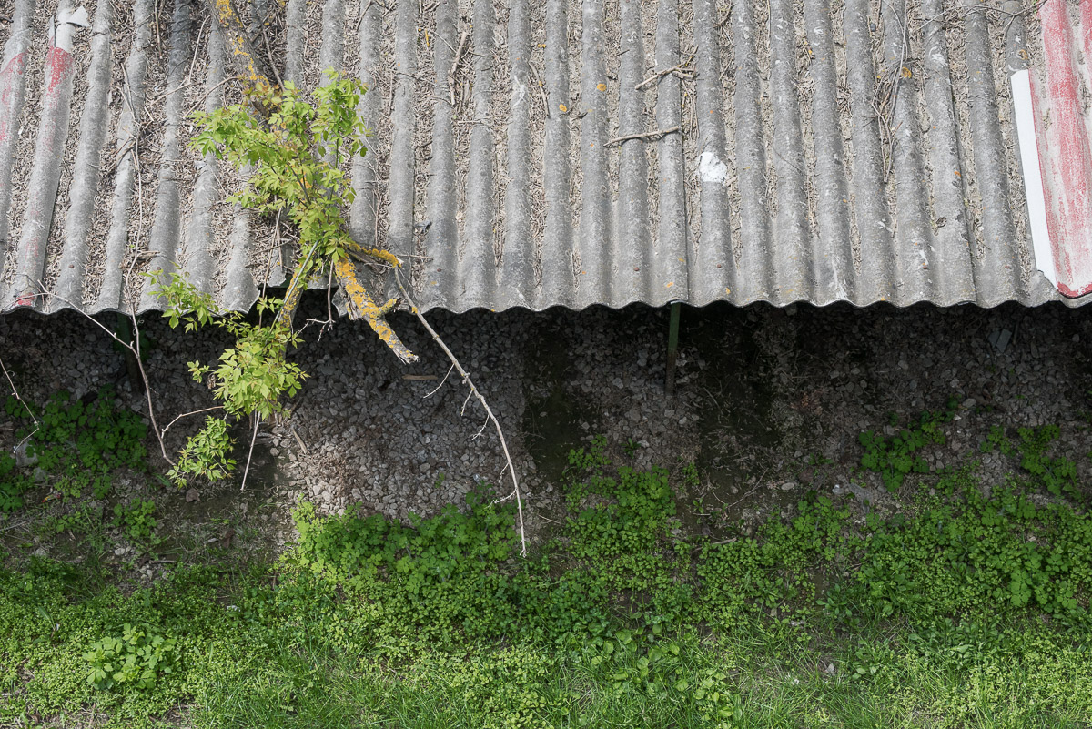 Stephan-Redel-0418-824-0171