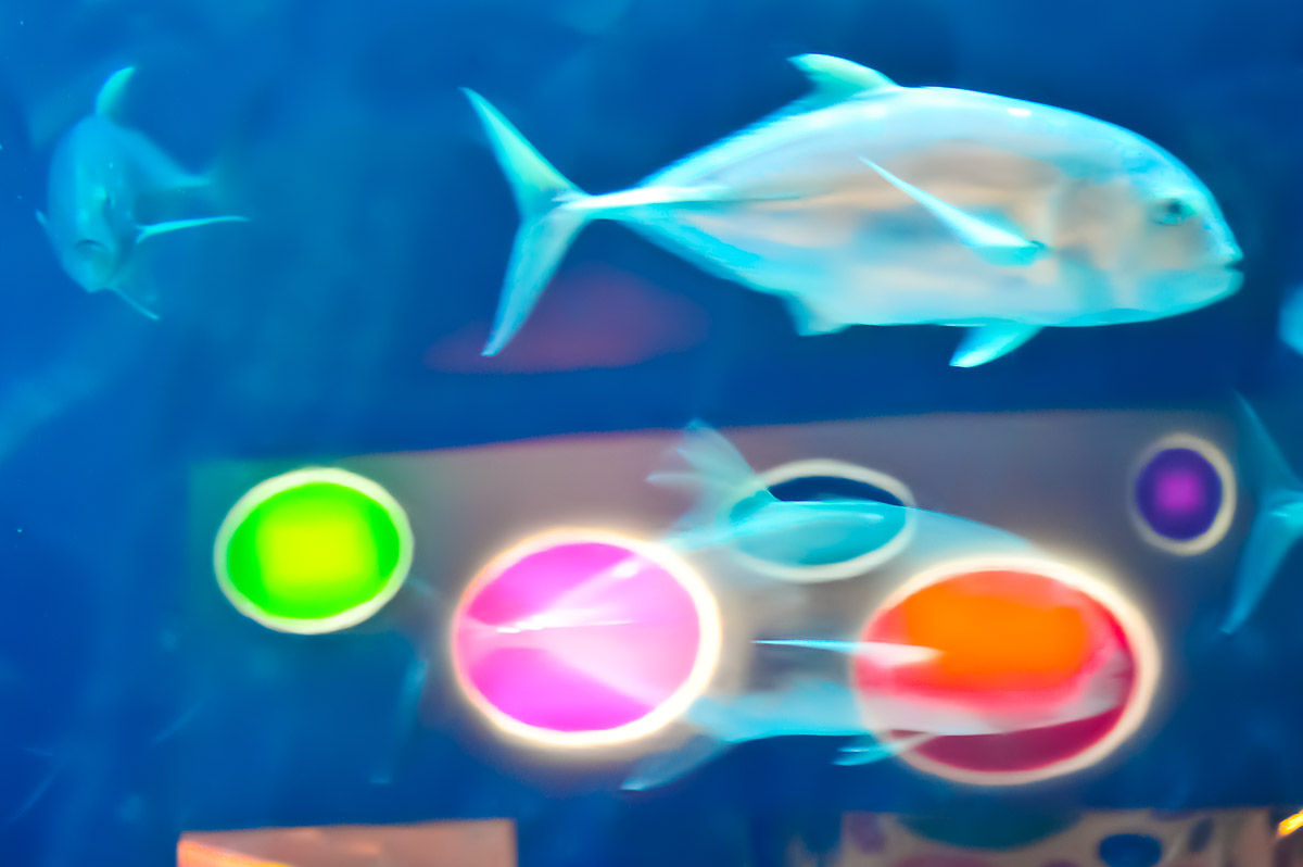 Stephan-Redel-0449-472-0084