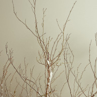 Stephan-Redel-0128-704-0345