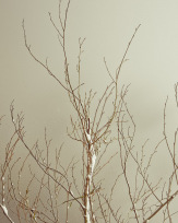 Stephan-Redel-0163-704-0345