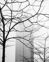 Stephan-Redel-0164-814-2208