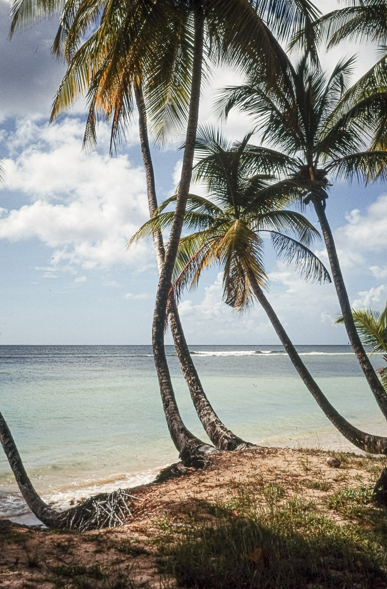 Stephan-Redel-DIA-013-00004