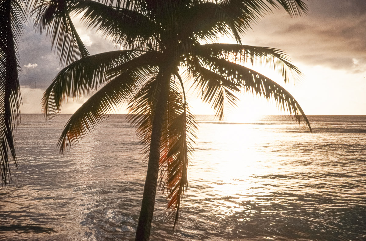 Stephan-Redel-DIA-013-00011