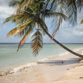 Stephan-Redel-DIA-013-00003