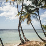 Stephan-Redel-DIA-013-00004