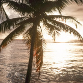 Stephan-Redel-DIA-013-00011