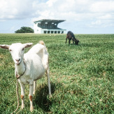 Stephan-Redel-DIA-013-00056