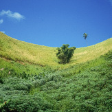 Stephan-Redel-DIA-013-00060