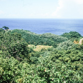 Stephan-Redel-DIA-013-00062