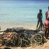 Stephan-Redel-DIA-013-00065