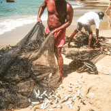 Stephan-Redel-DIA-013-00068