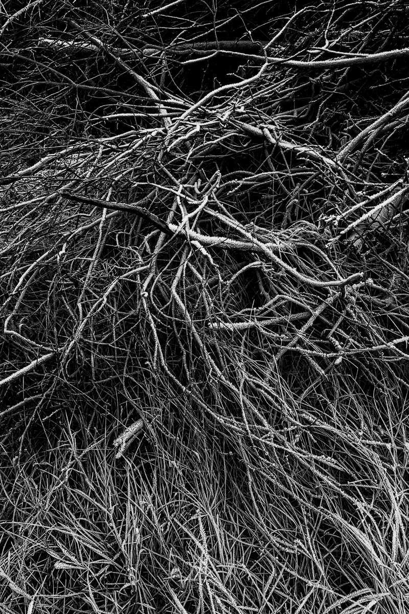 Stephan-Redel-0001-1164-103