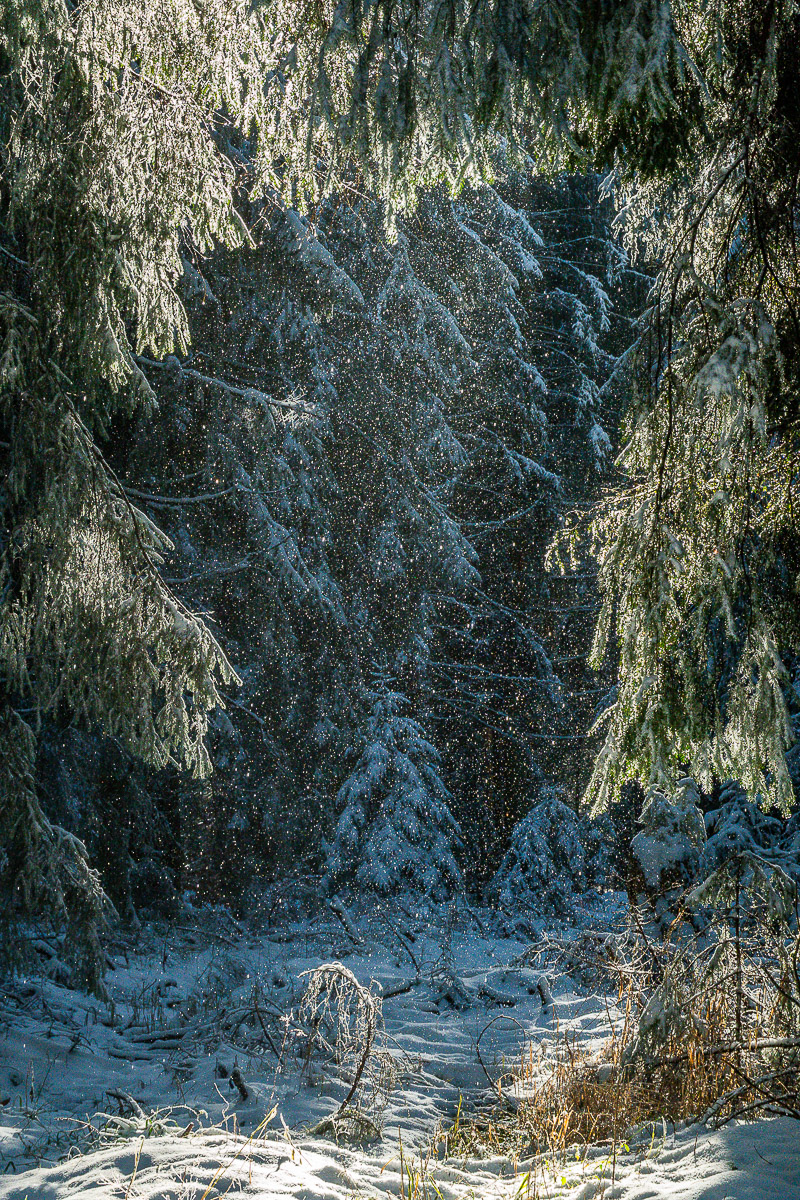 Stephan-Redel-0008-1124-09566