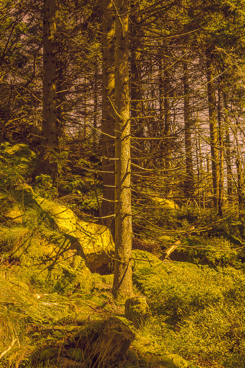 Stephan-Redel-0045-1112-06982