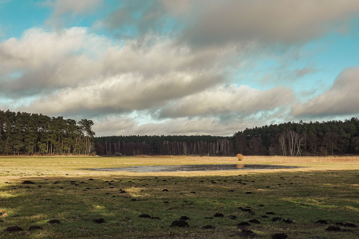 Stephan-Redel-0066-1037-08319