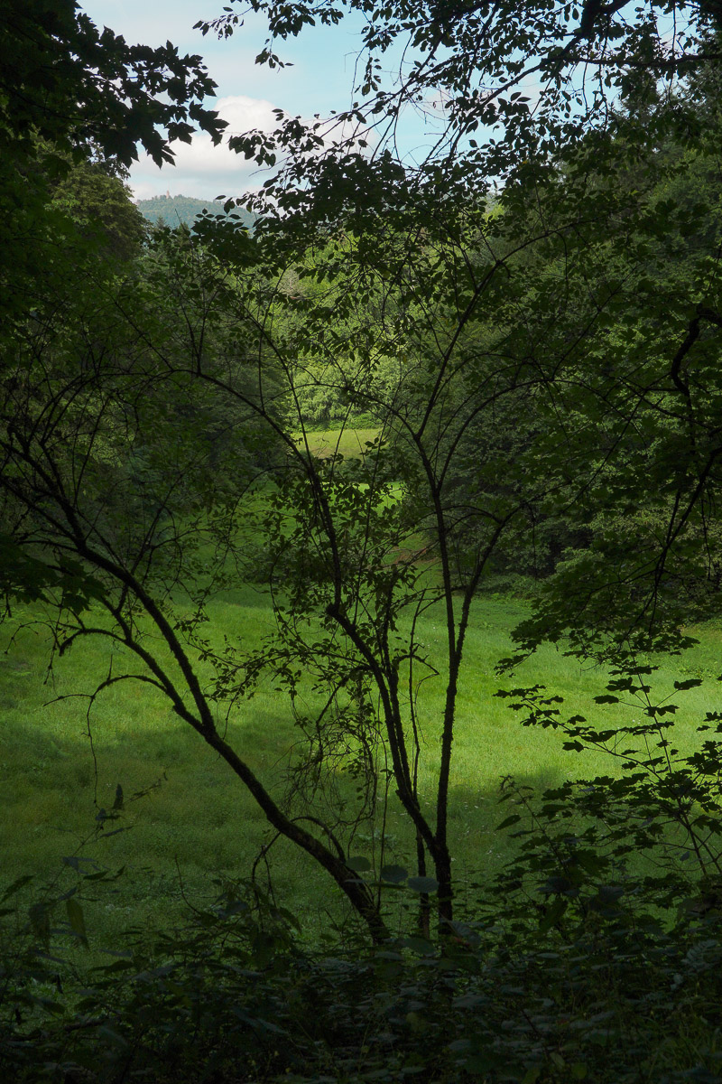 Stephan-Redel-0073-879-0672