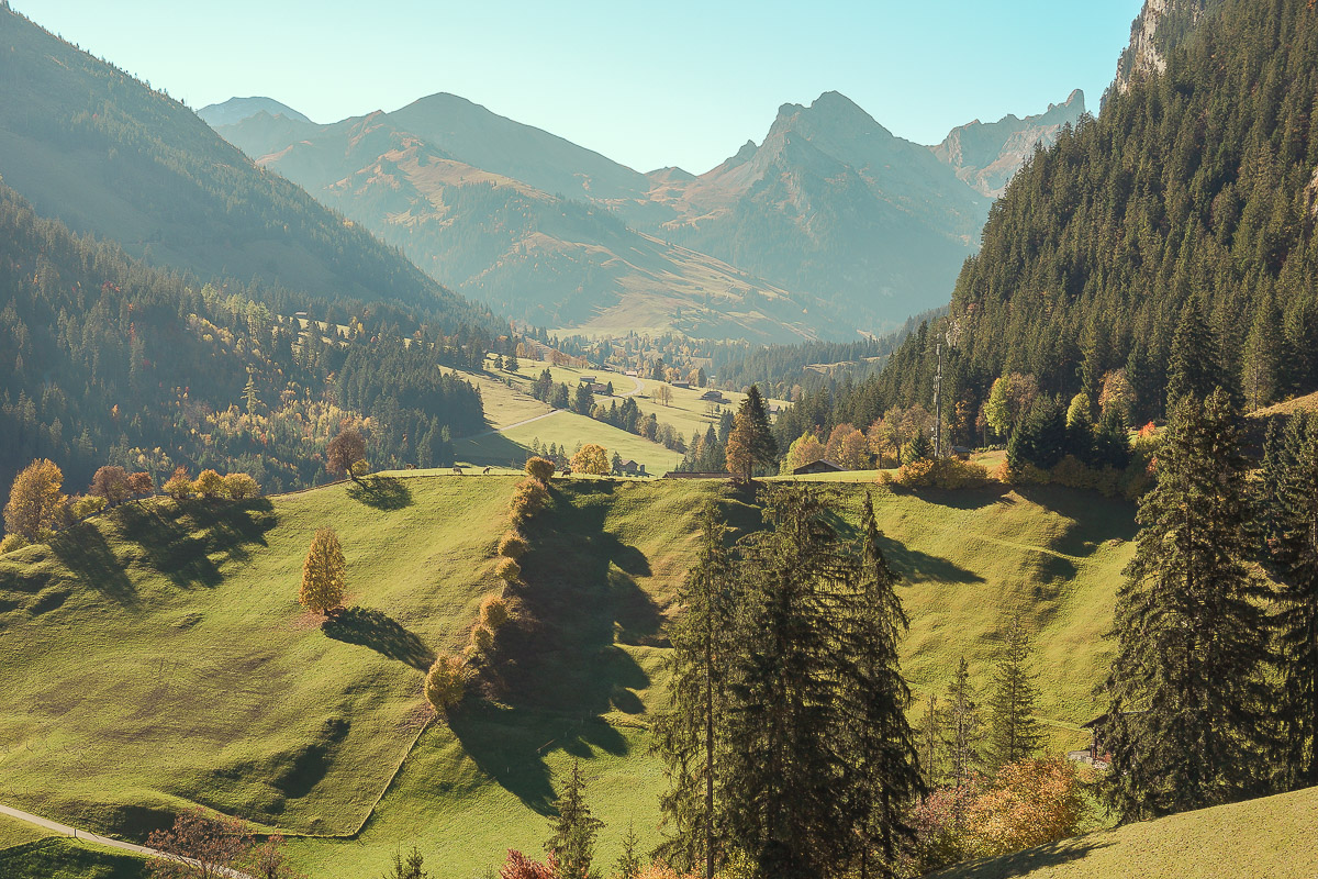 Stephan-Redel-0125-985-07763