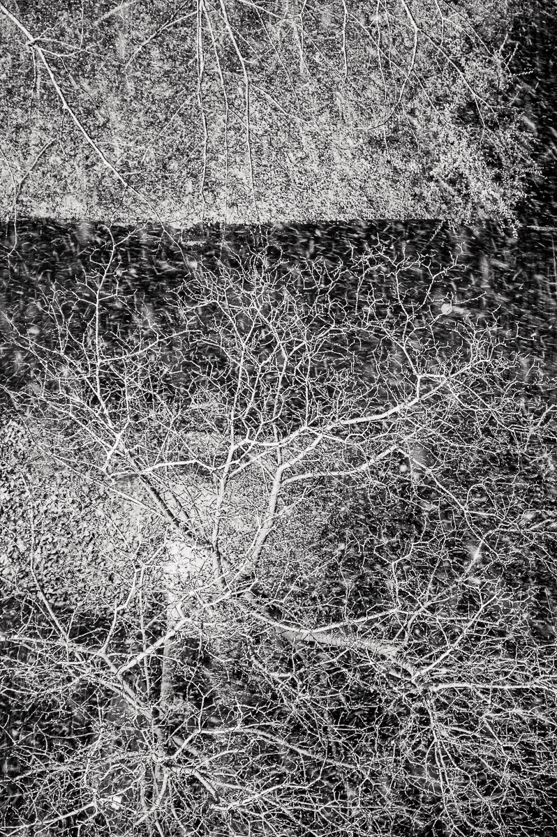 Stephan-Redel-0146-1083-3900