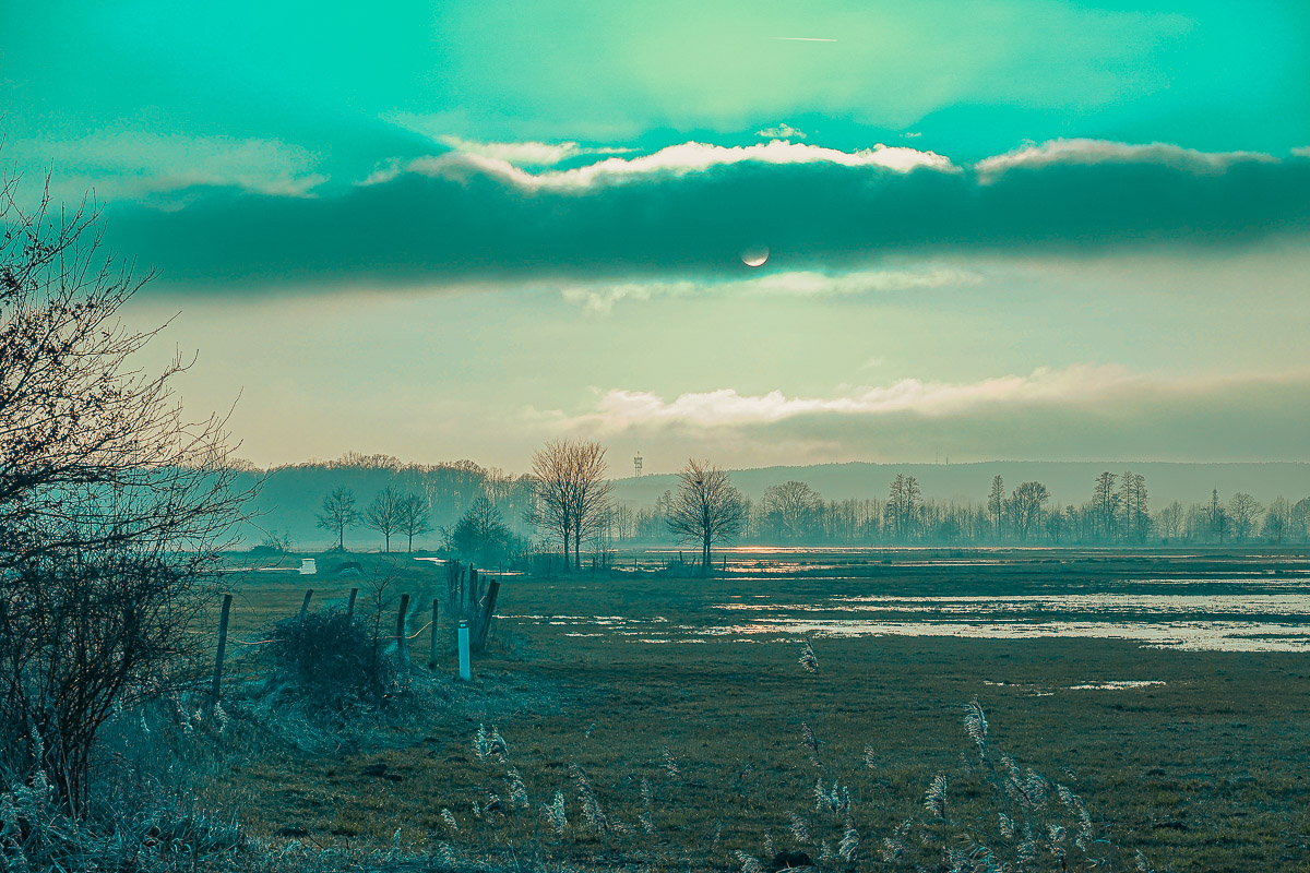 Stephan-Redel-0155-1038-08430