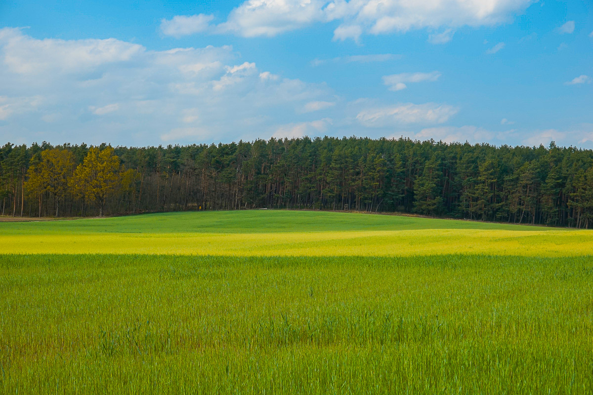 Stephan-Redel-0189-1006-01048