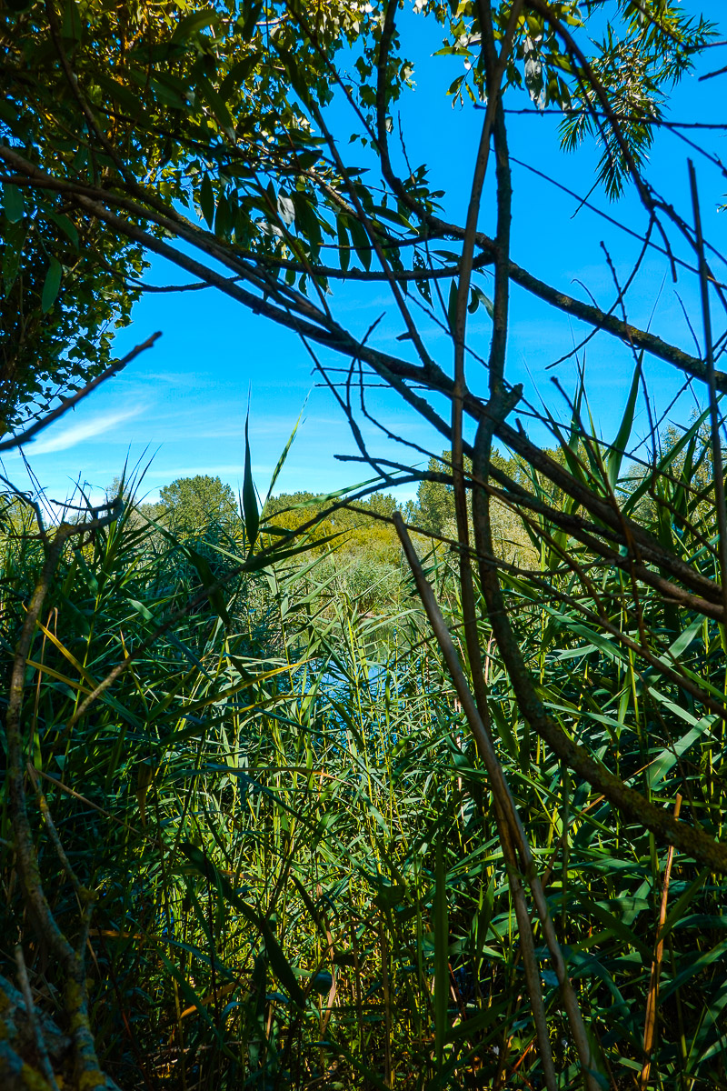 Stephan-Redel-0200-1017-03630