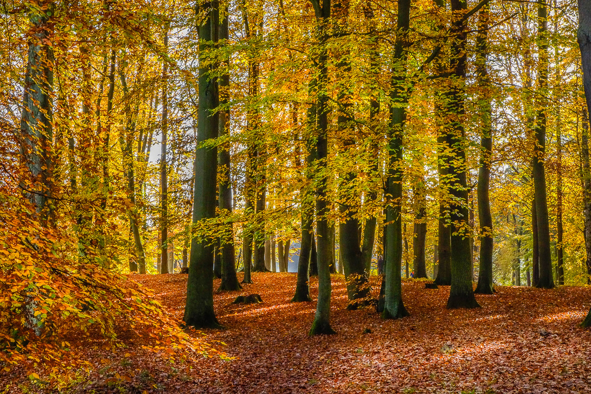 Stephan-Redel-0205-628-2571