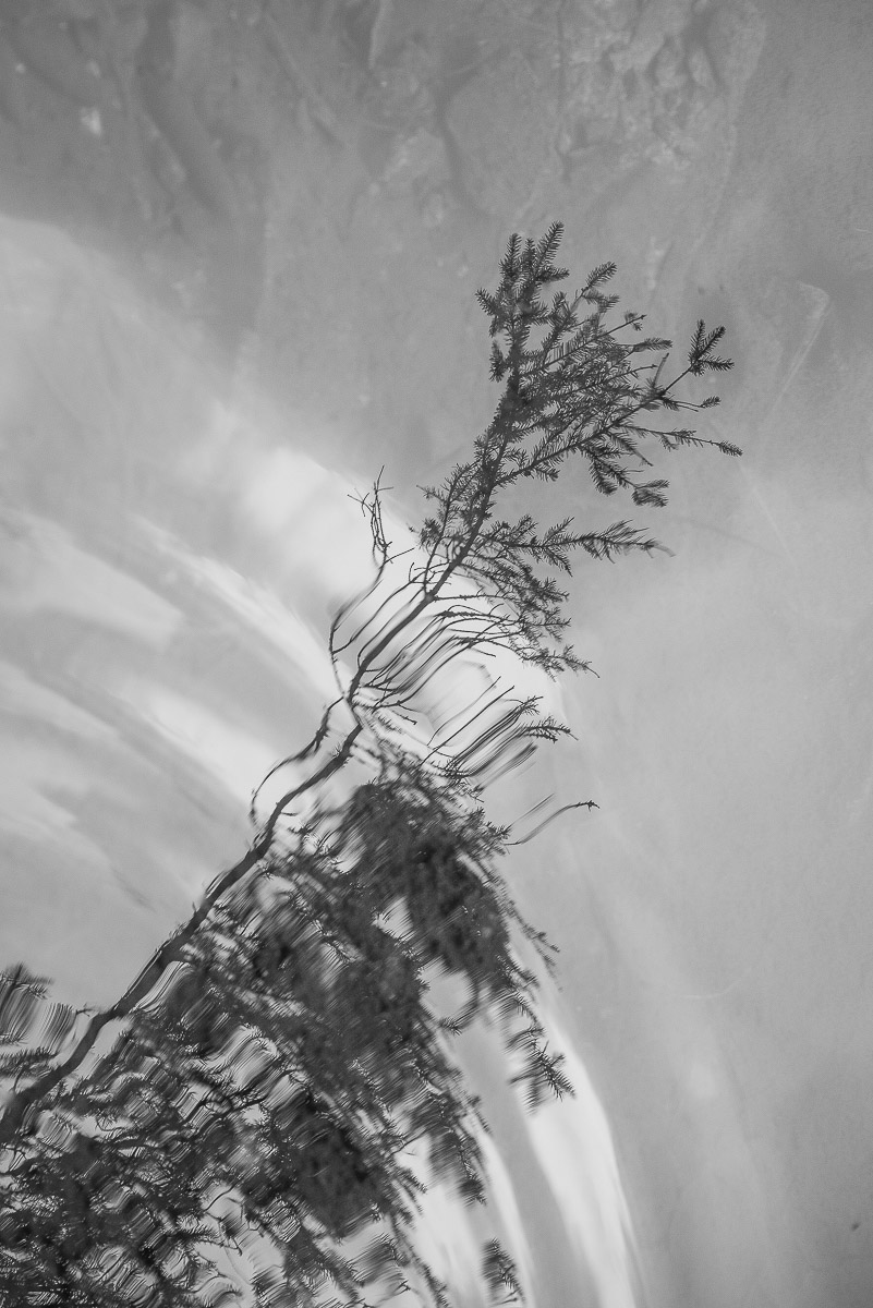 Stephan-Redel-0207-839-6057