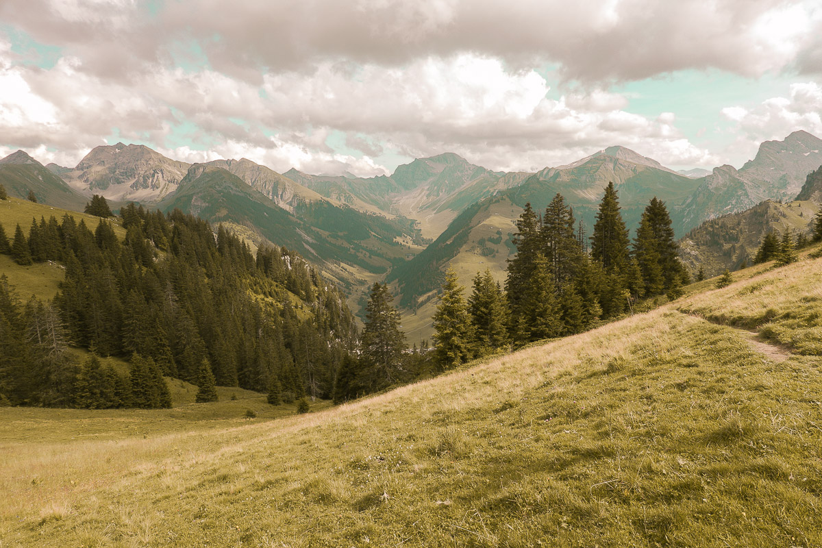 Stephan-Redel-0212-915-09493