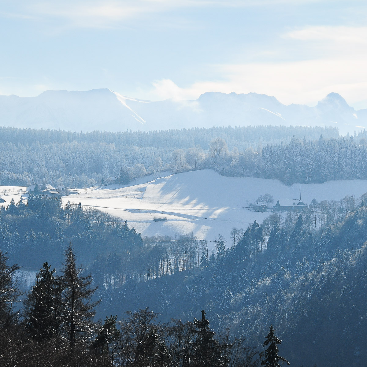 Stephan-Redel-0213-532-1177