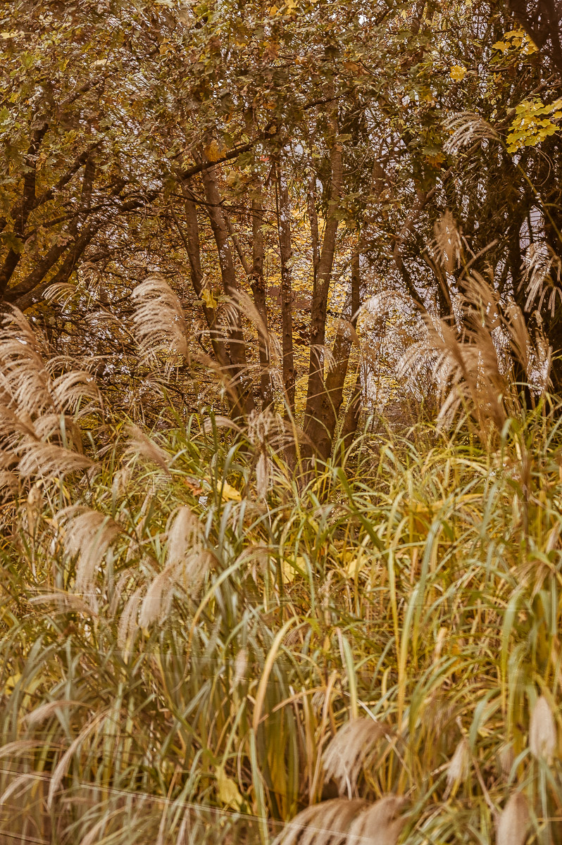 Stephan-Redel-0218-989-1025