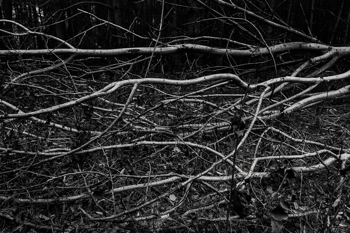 Stephan-Redel-0226-850-04160