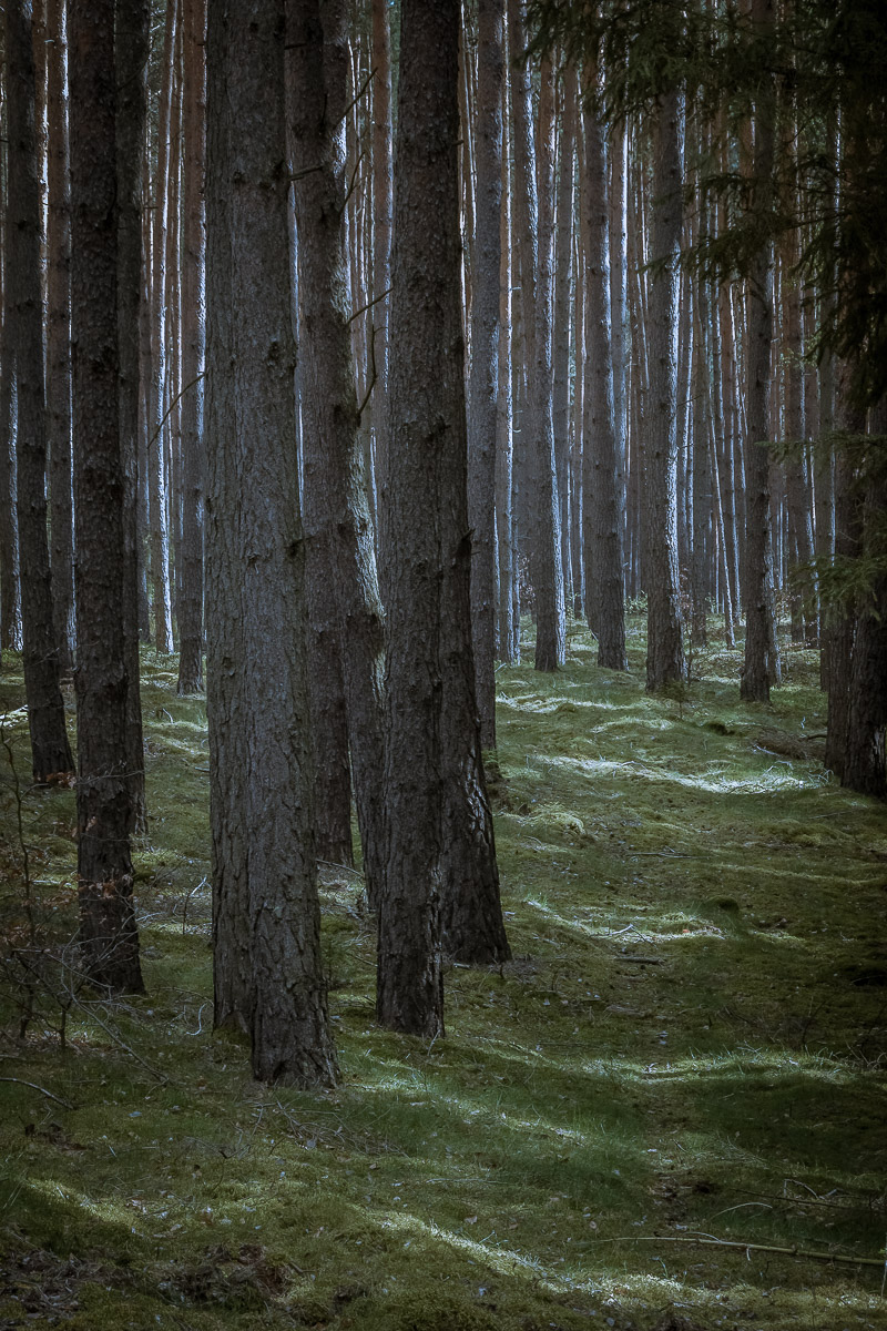 Stephan-Redel-0229-908-08132