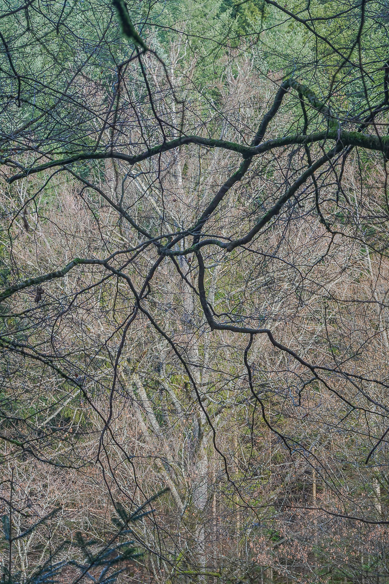 Stephan-Redel-0233-1034-07659