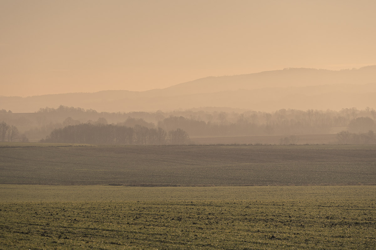 Stephan-Redel-0266-991-0069