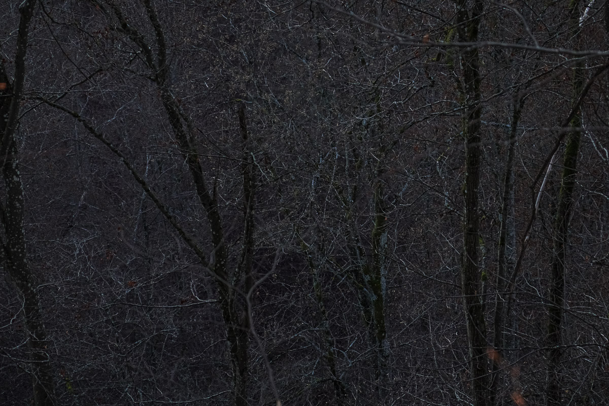 Stephan-Redel-0279-934-02823