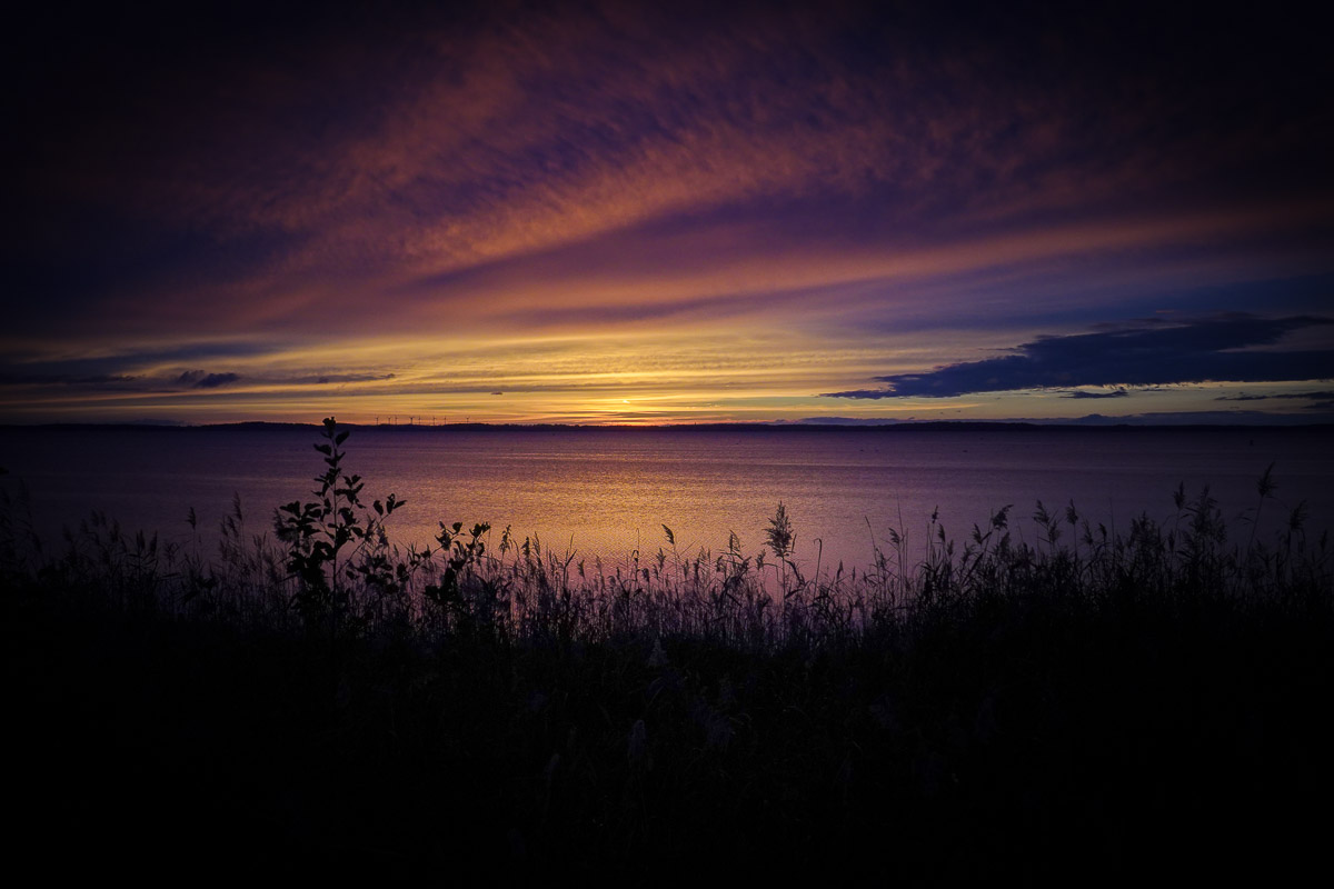 Stephan-Redel-0282-849-04045