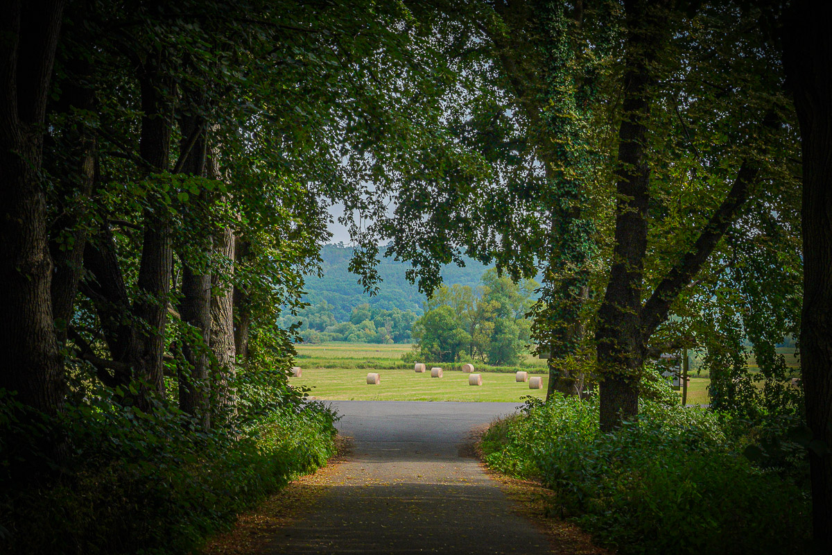 Stephan-Redel-0287-971-05878