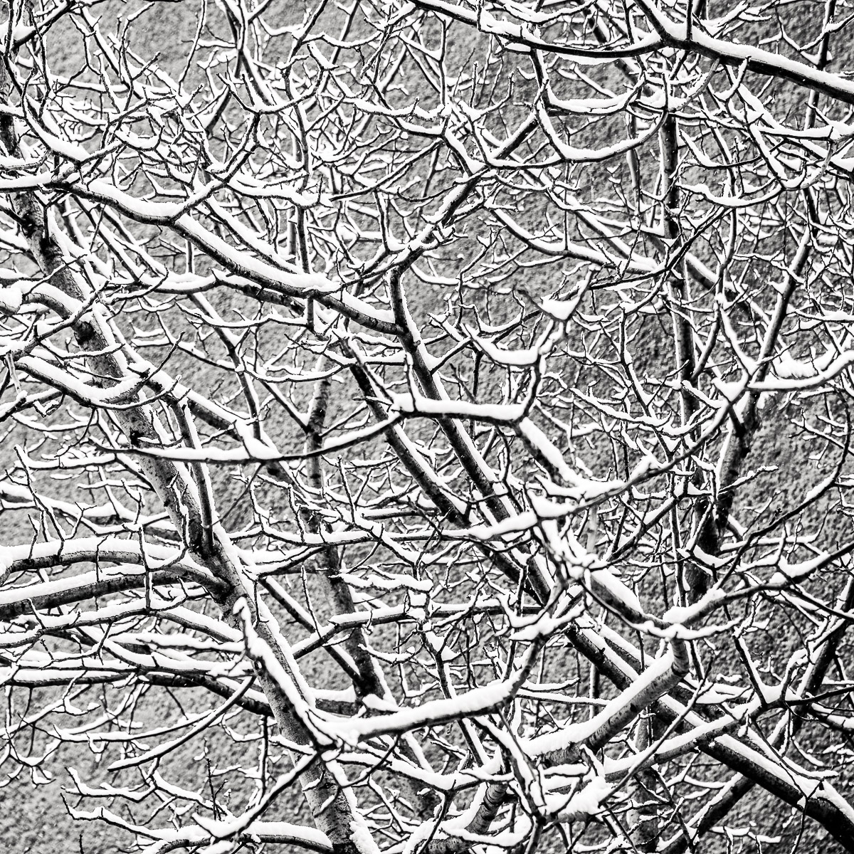 Stephan-Redel-0291-704-0313