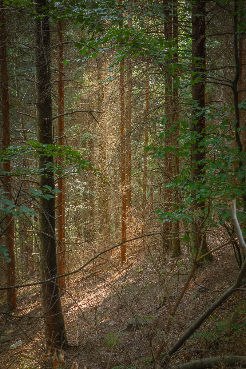 Stephan-Redel-0350-838-05632