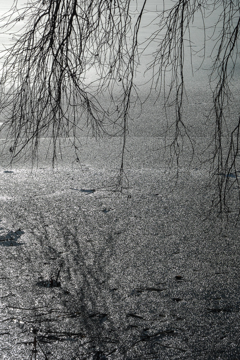 Stephan-Redel-0408-951-03823