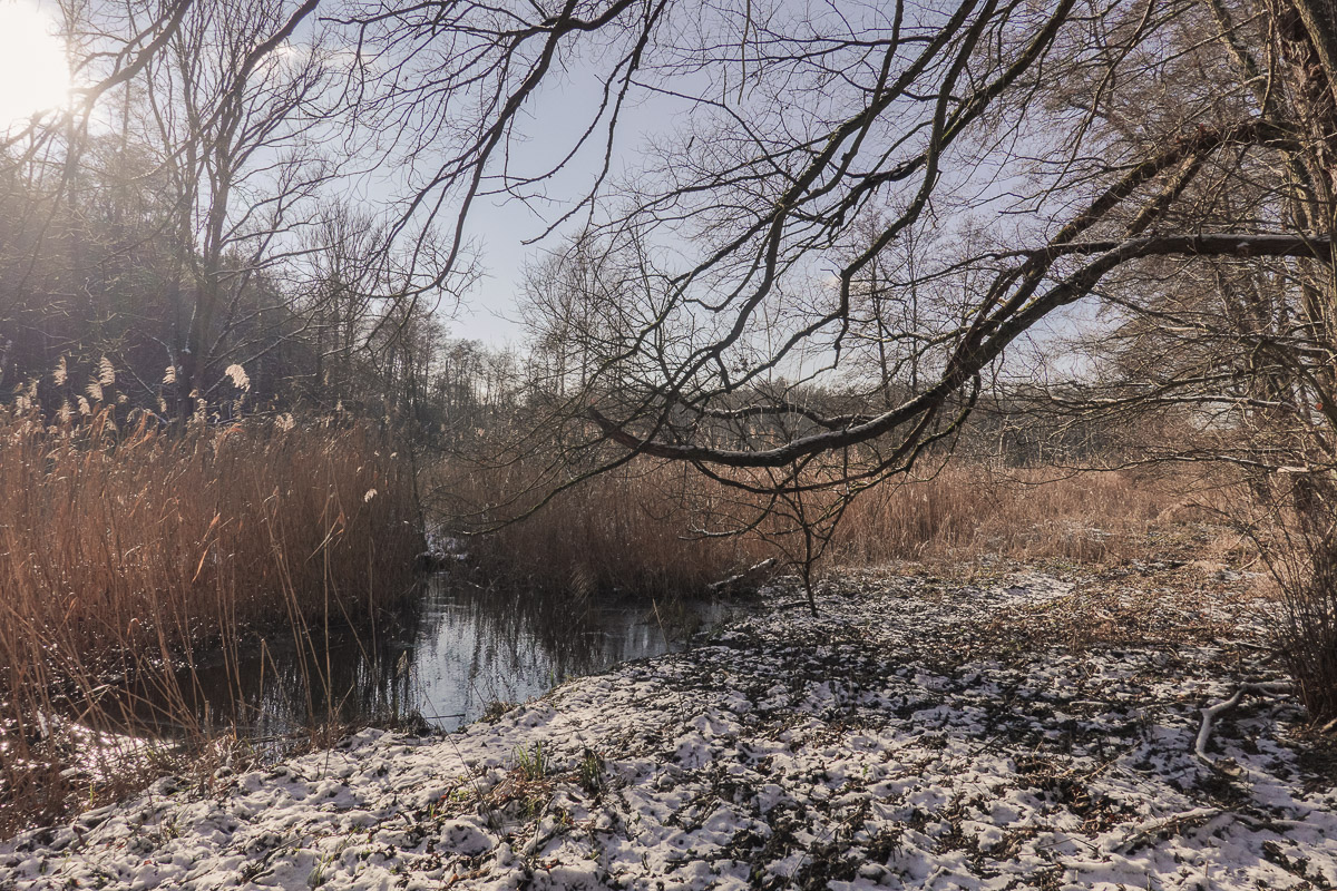 Stephan-Redel-0419-938-03256