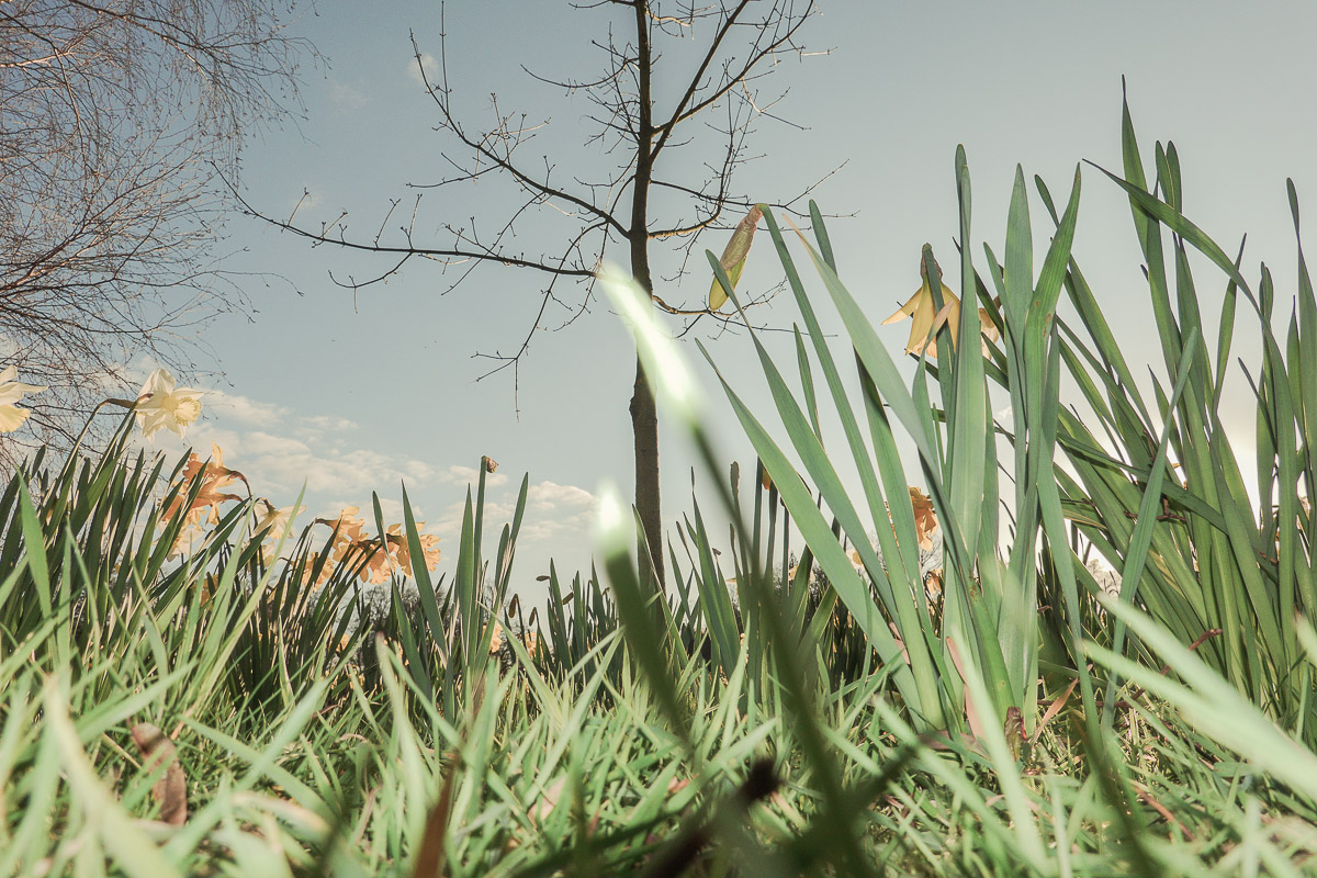 Stephan-Redel-0478-902-07555