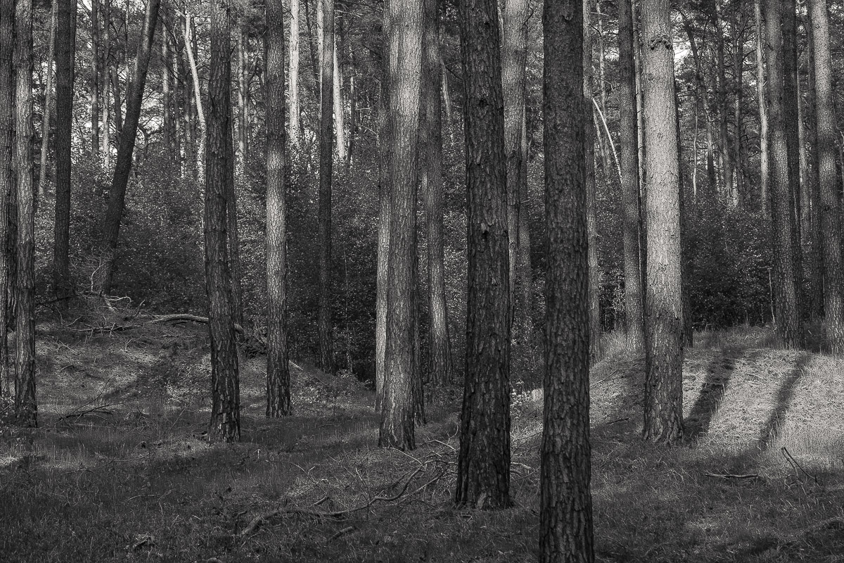 Stephan-Redel-0494-910-0073