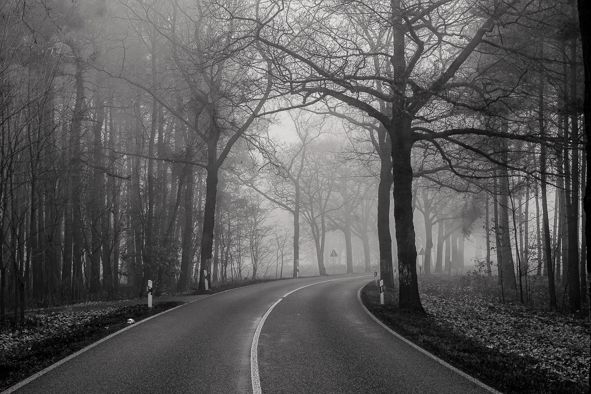 Stephan-Redel-0566-853-05544